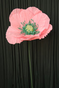 Pink Poppy (Style 1, Small) RENTAL