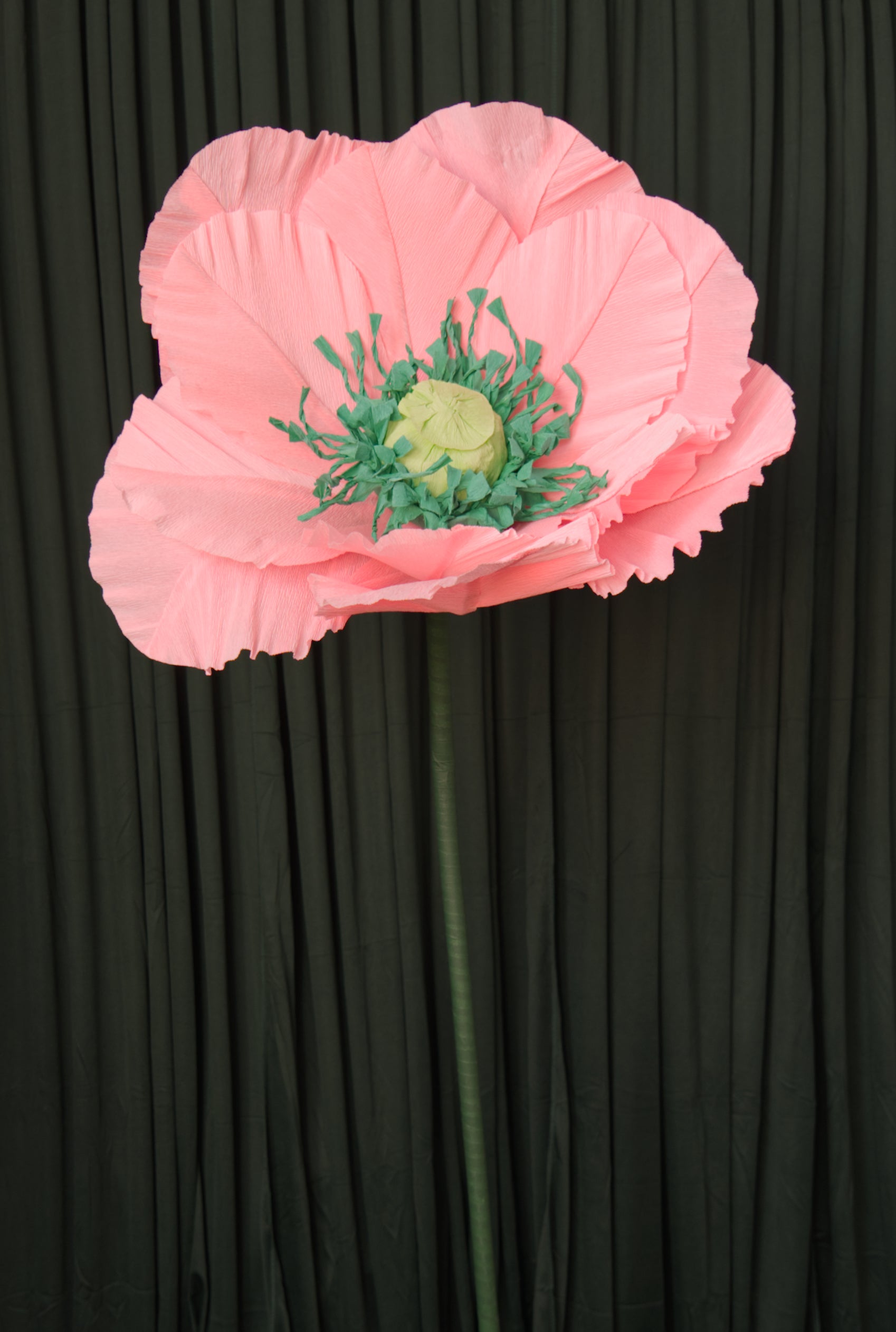 Pink Poppy (Style 1, Small) RENTAL