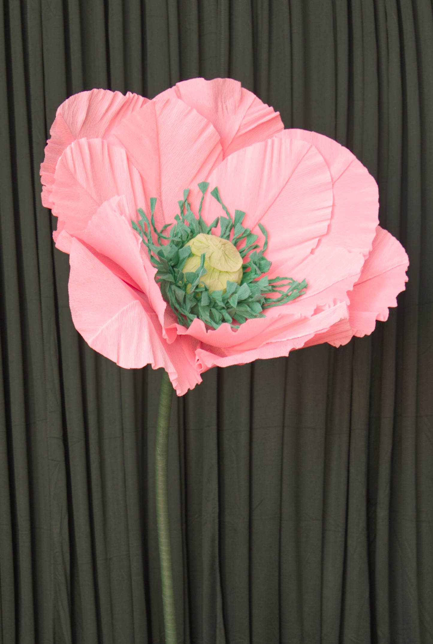 Pink Poppy (Style 1, Small) RENTAL