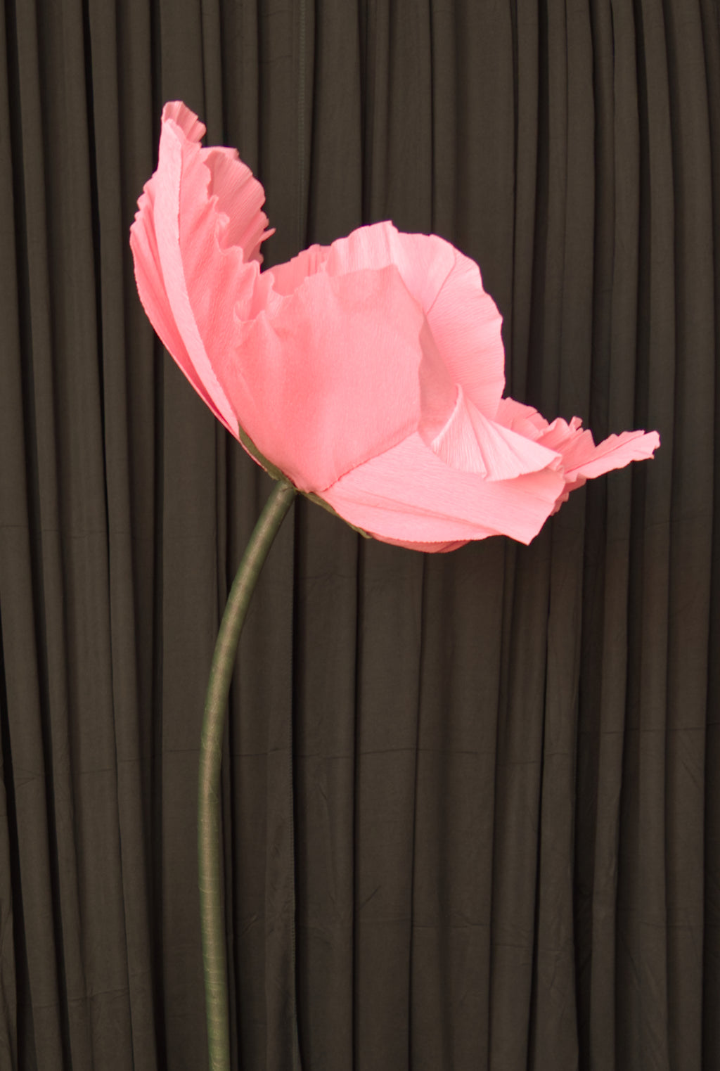 Pink Poppy (Style 1, Small) RENTAL