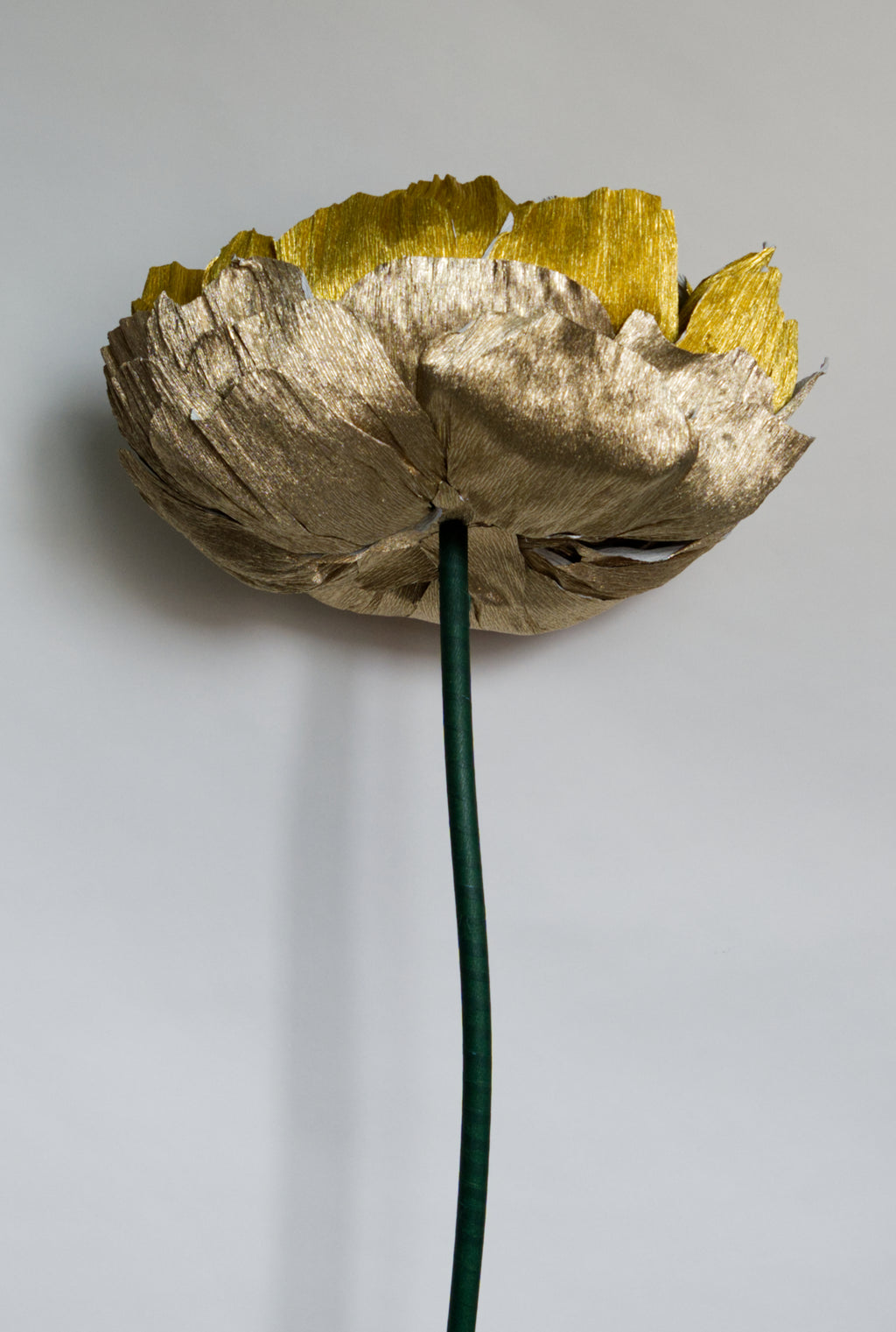 Mixed Metals Double Peony