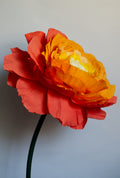 Open Orange Rose