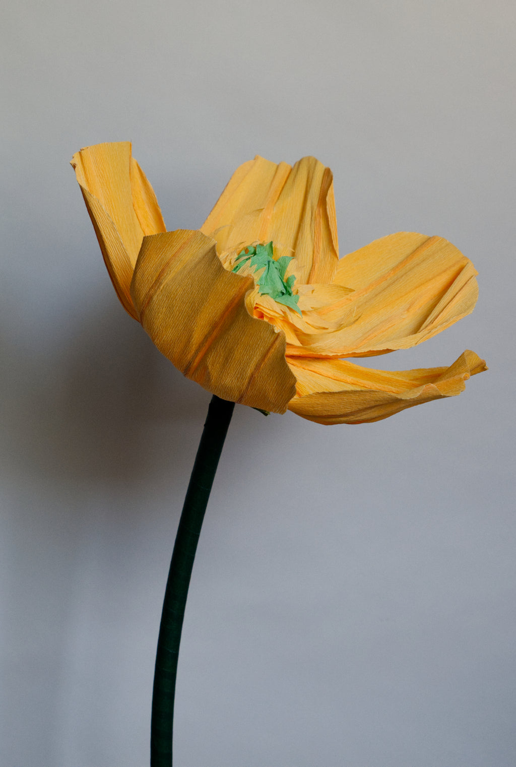 Orange Buttercup (Style 1)
