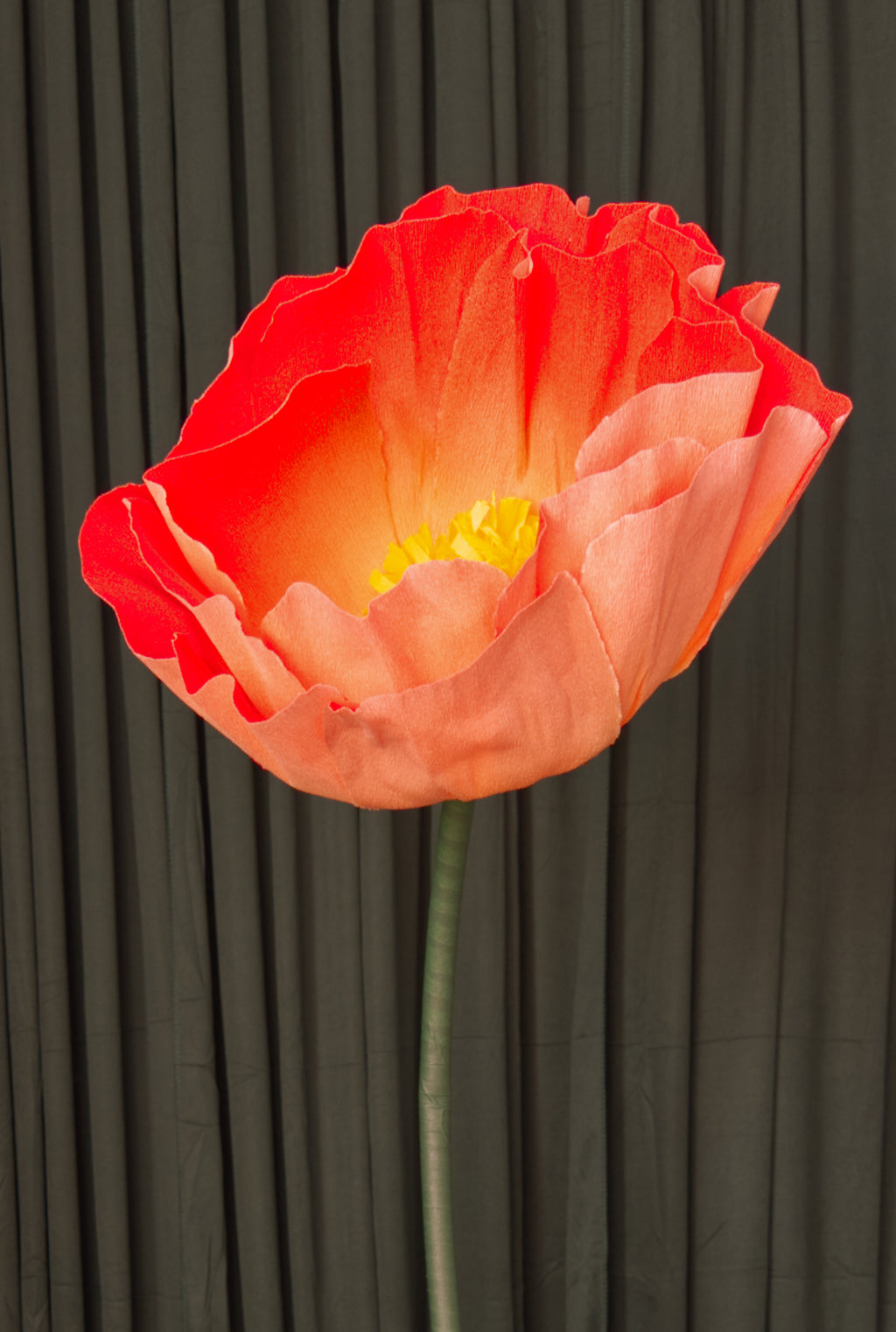 Orange Ombre Buttercup RENTAL