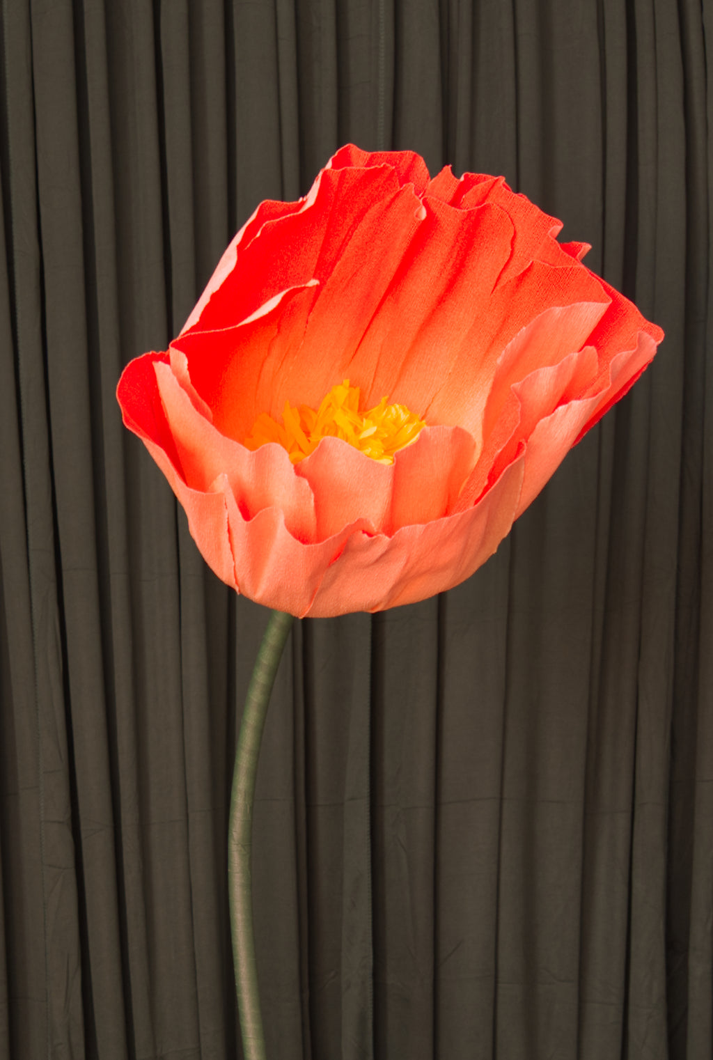 Orange Ombre Buttercup RENTAL