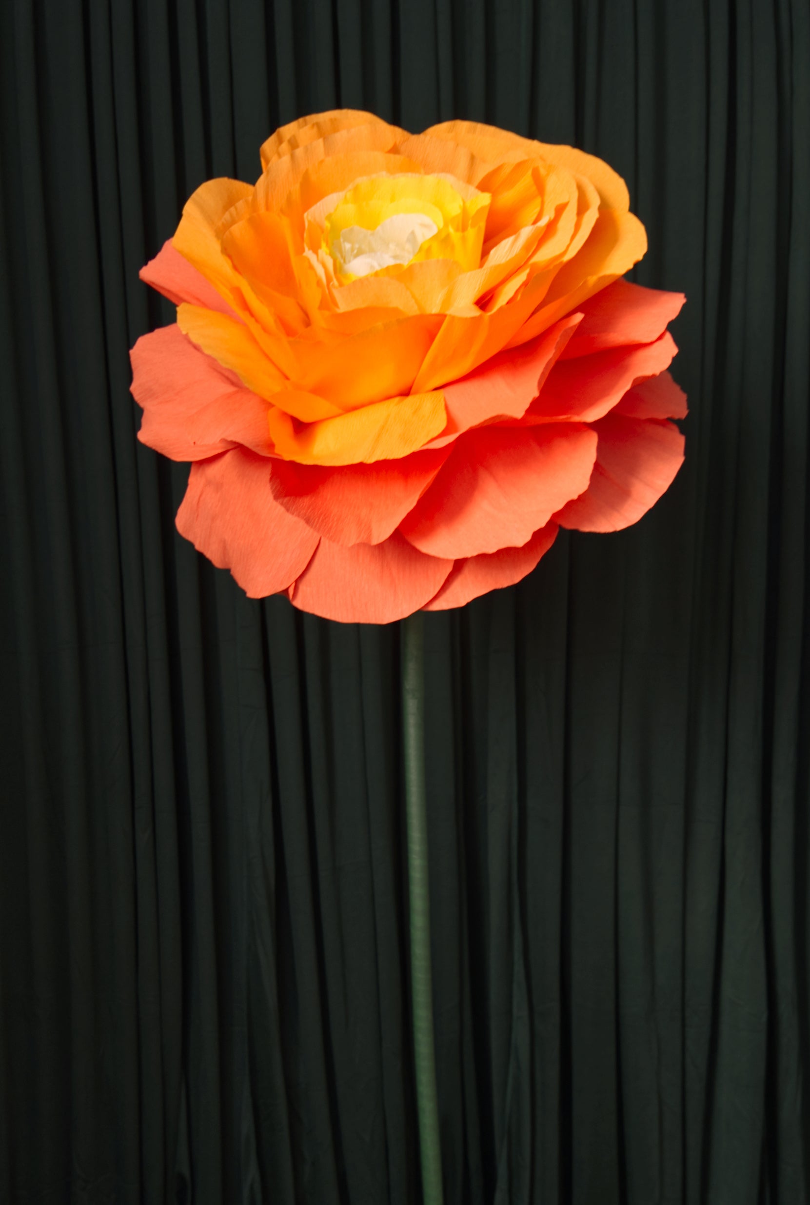 Giant Open Orange Rose crepe paper flower