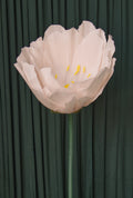 Pale Pink Lotus RENTAL