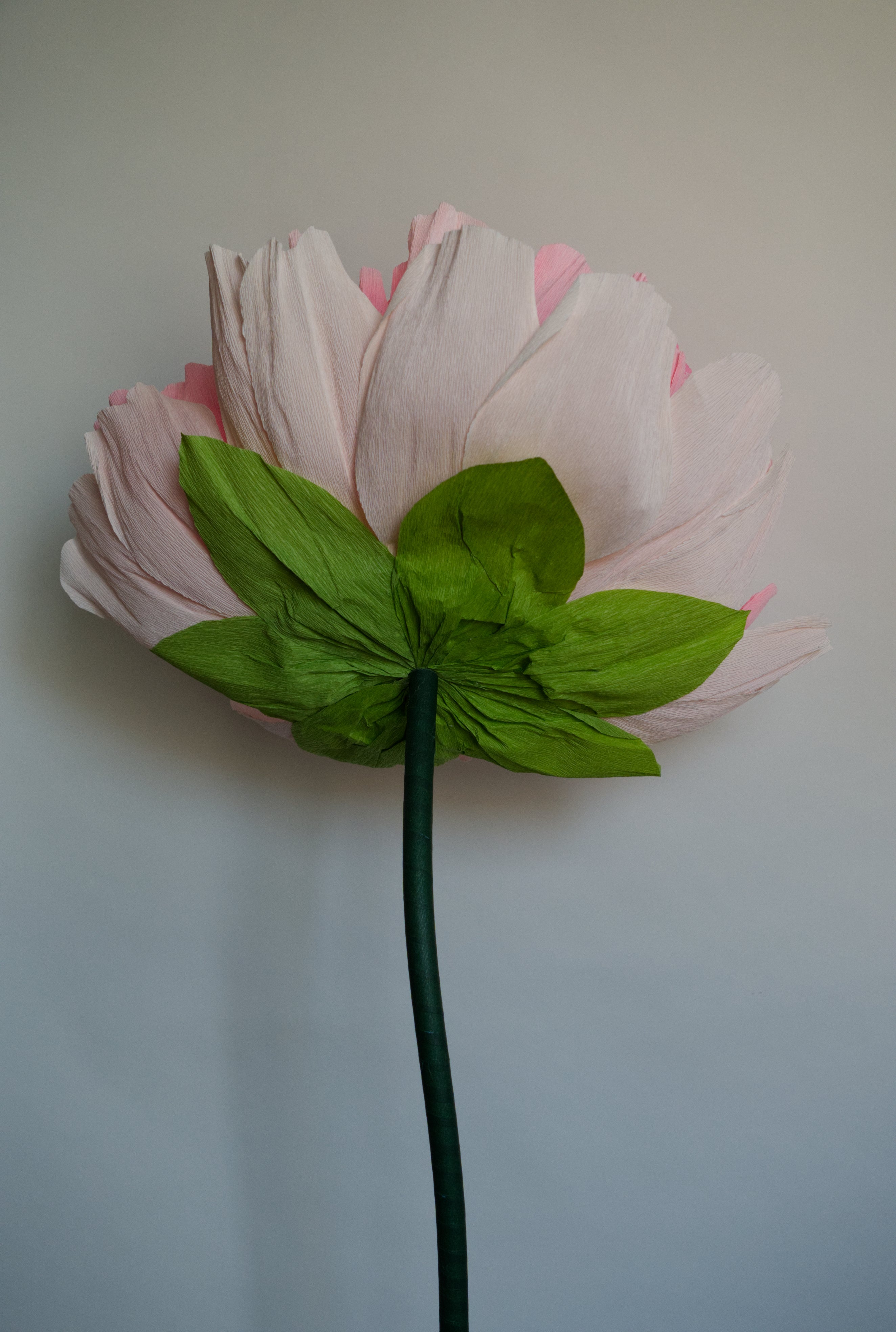 Pink Double Peony (Style 1)