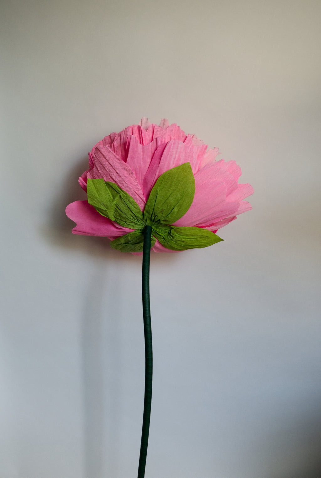 Pink Double Peony (Style 2)