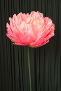 Pink Double Peony (Style 2) RENTAL