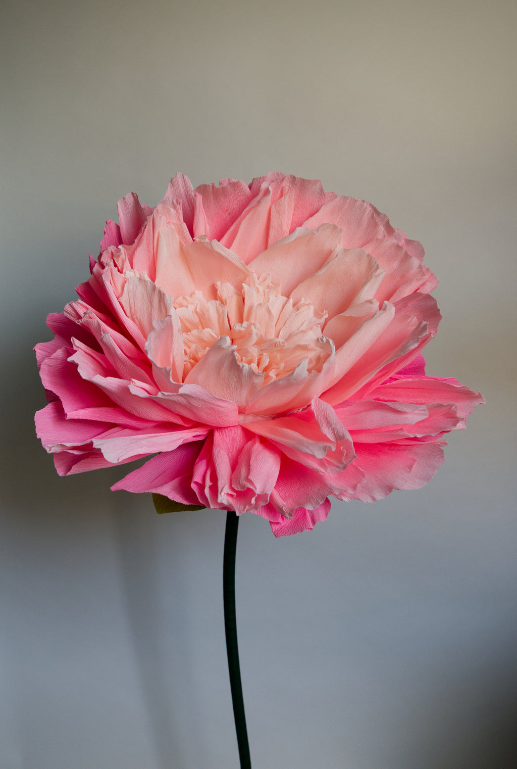 Pink Double Peony (Style 2)