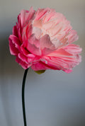 Pink Double Peony (Style 2)