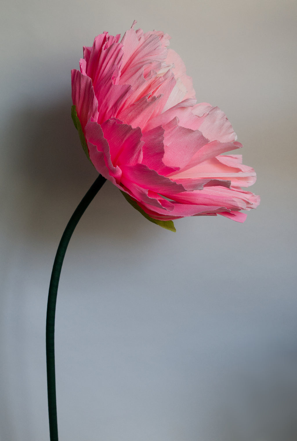 Pink Double Peony (Style 2)