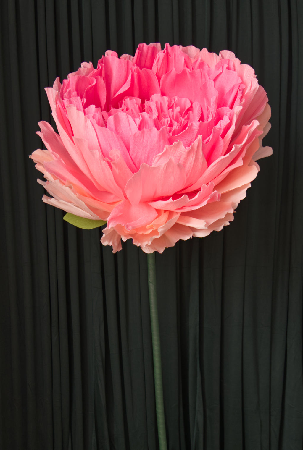 Pink Double Peony (Style 1) RENTAL