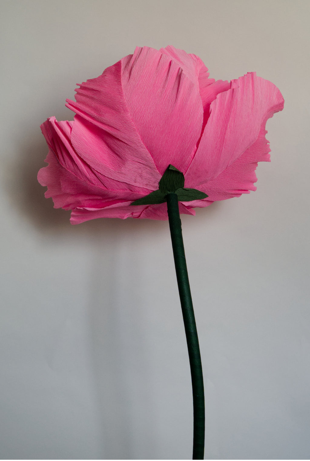 Poppy (Style 1, Small) Custom to Own