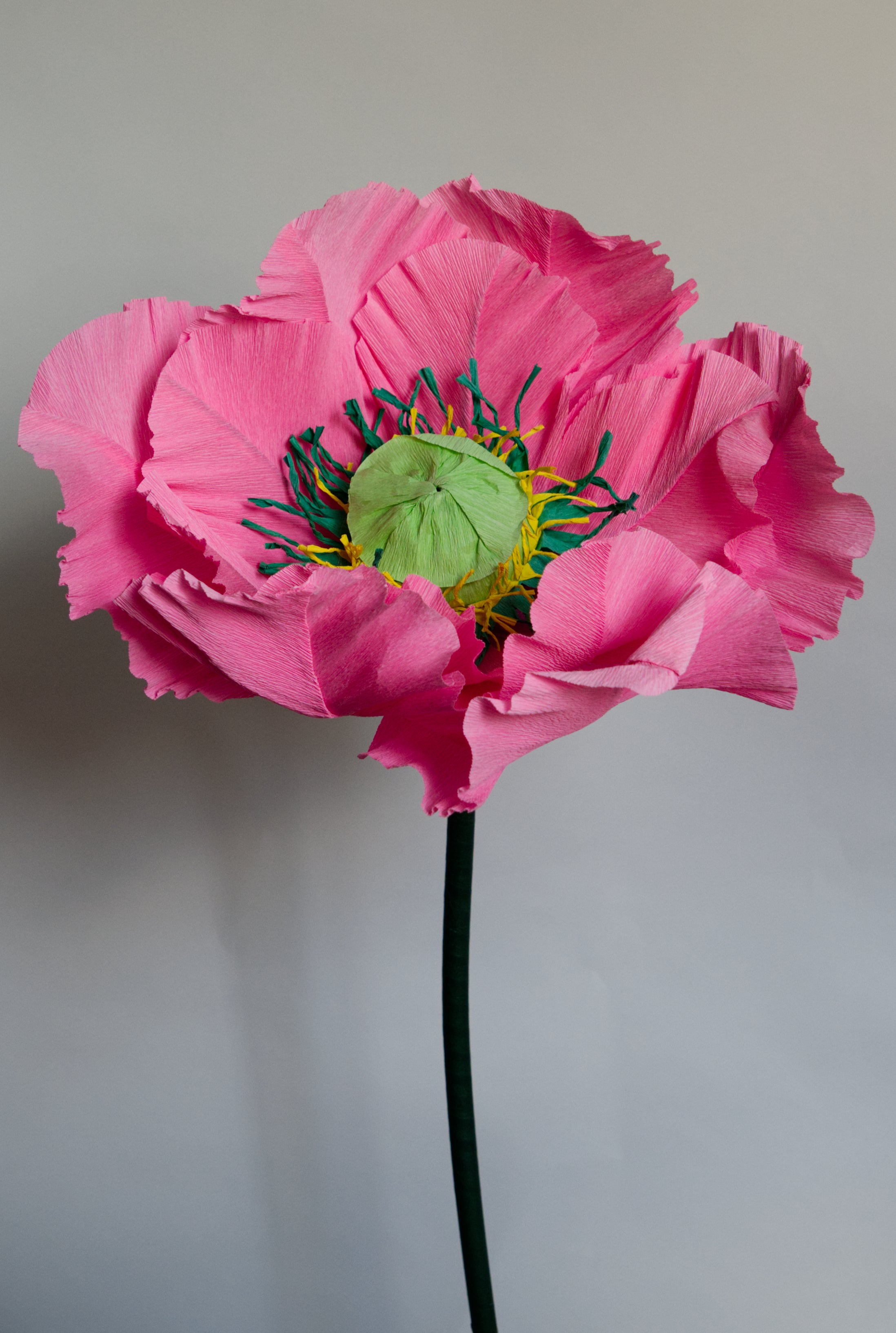 Poppy (Style 1, Small) Custom to Own