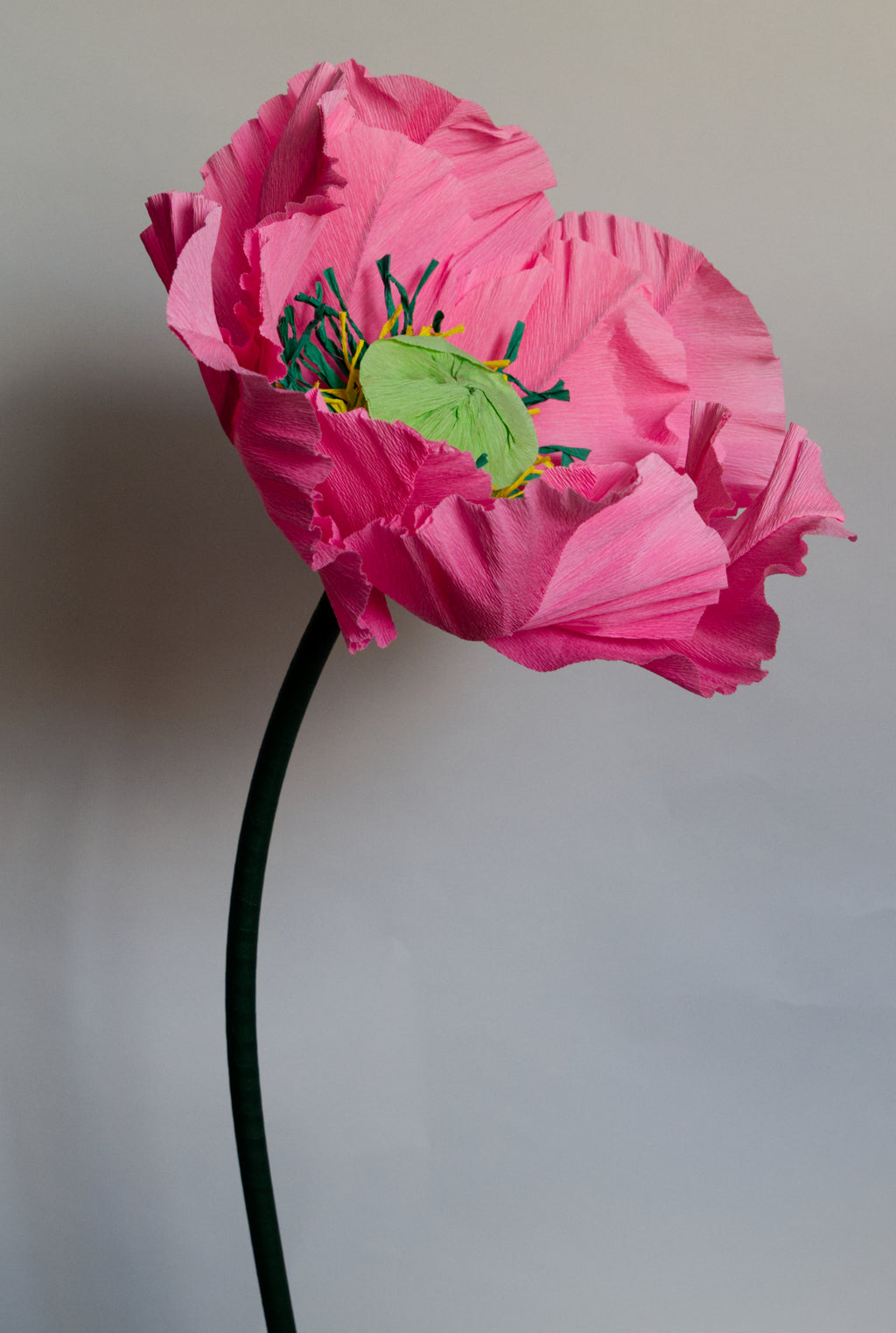 Poppy (Style 1, Small) Custom to Own