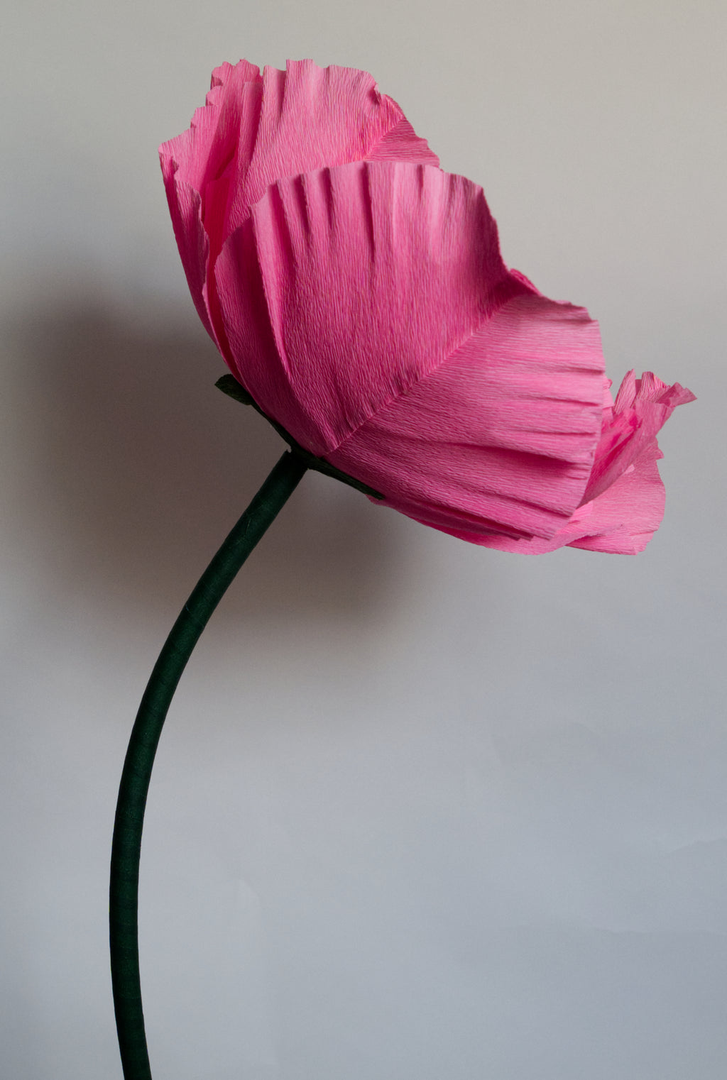 Poppy (Style 1, Small) Custom to Own