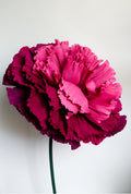 Burgundy Marigold