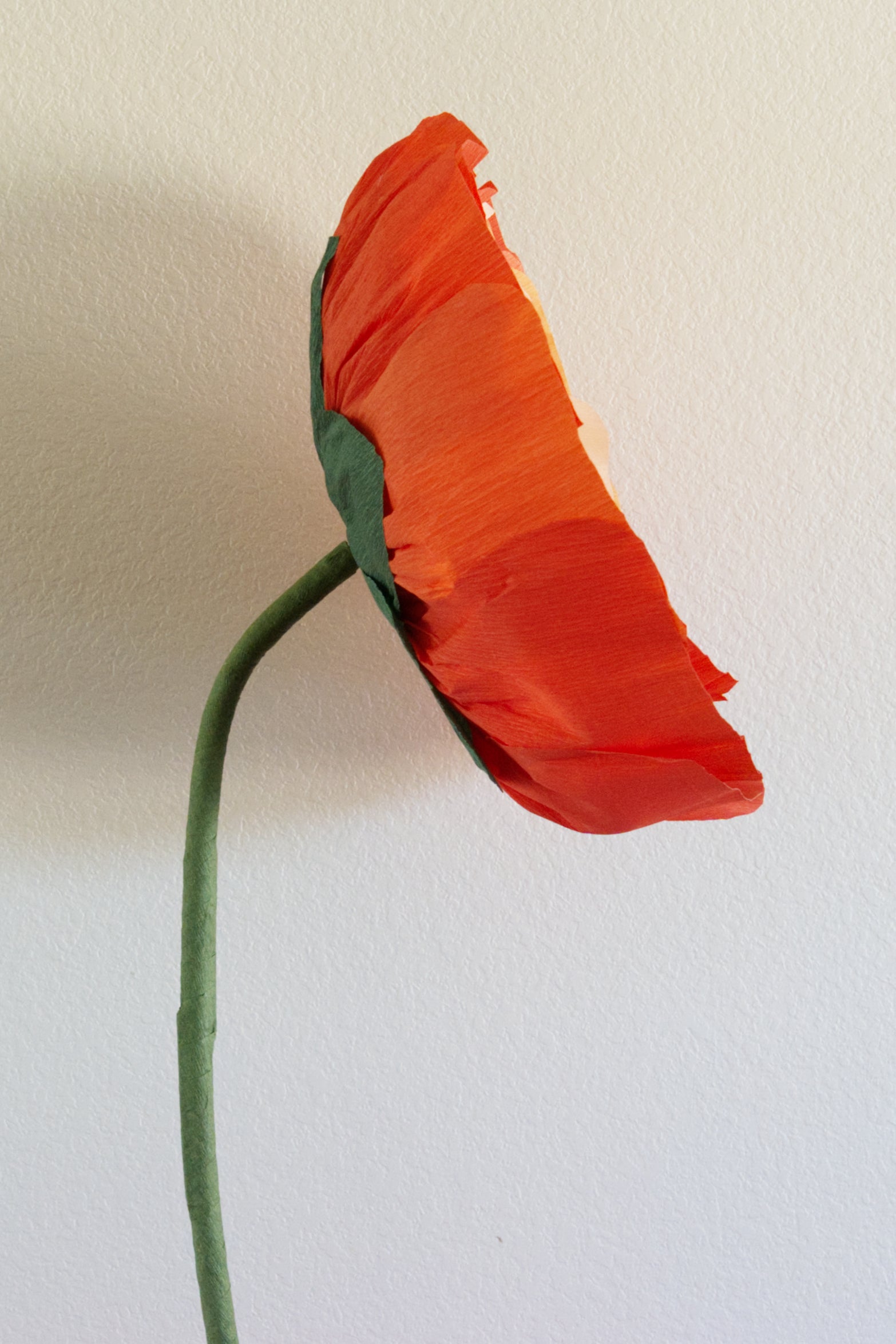 Ranunculus Custom to Own