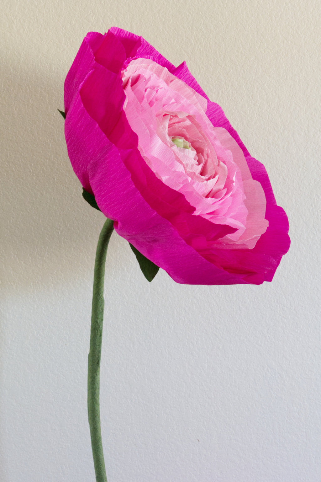 Ranunculus Custom to Own
