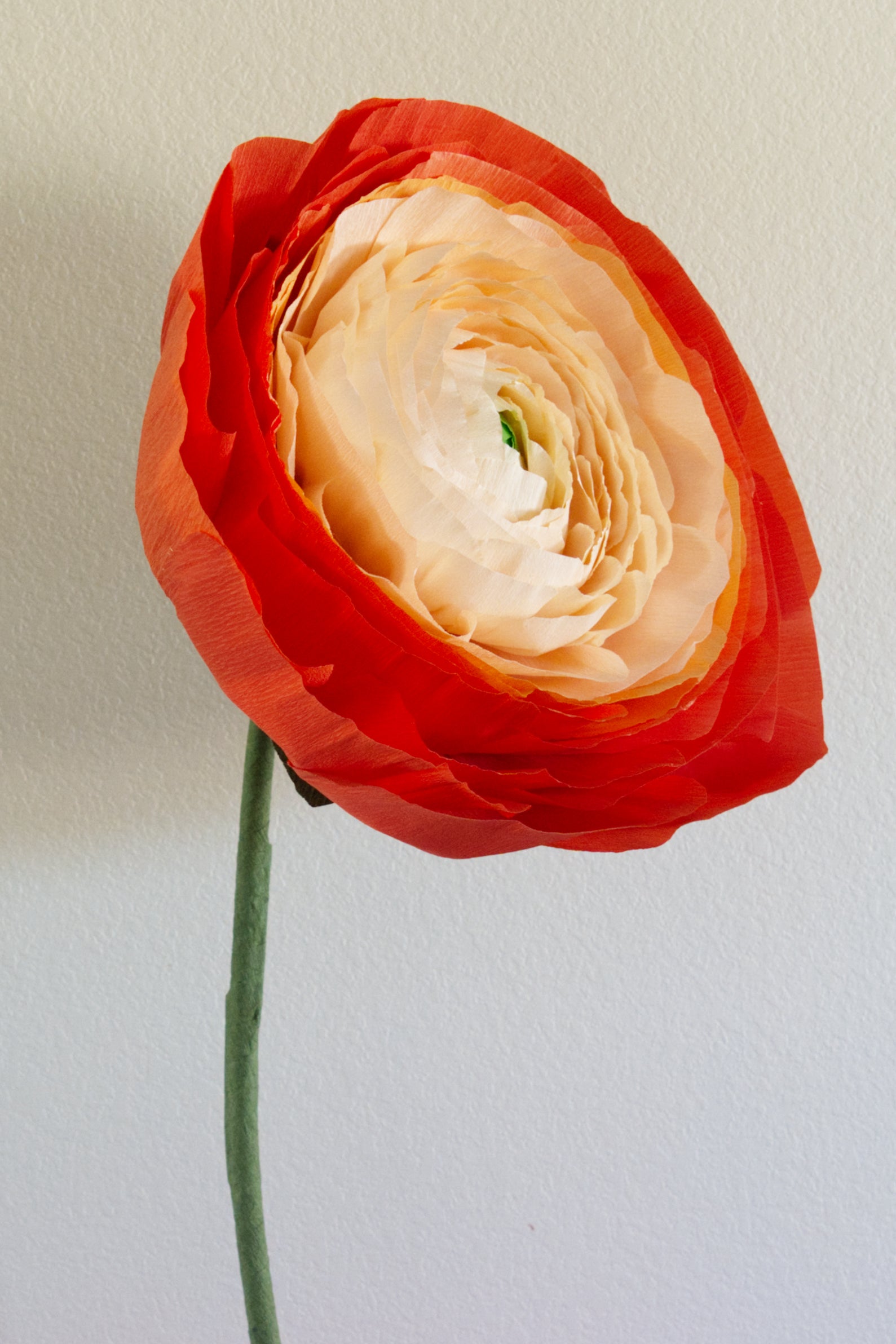 Ranunculus Custom to Own