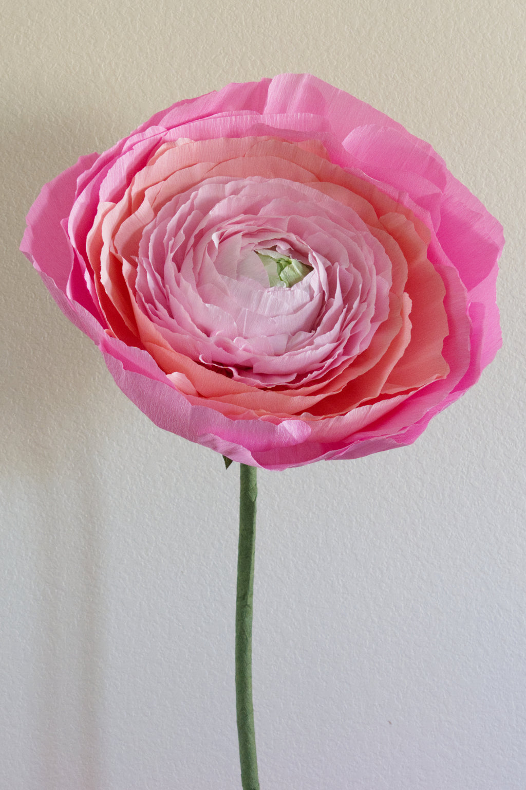 Ranunculus Custom to Own
