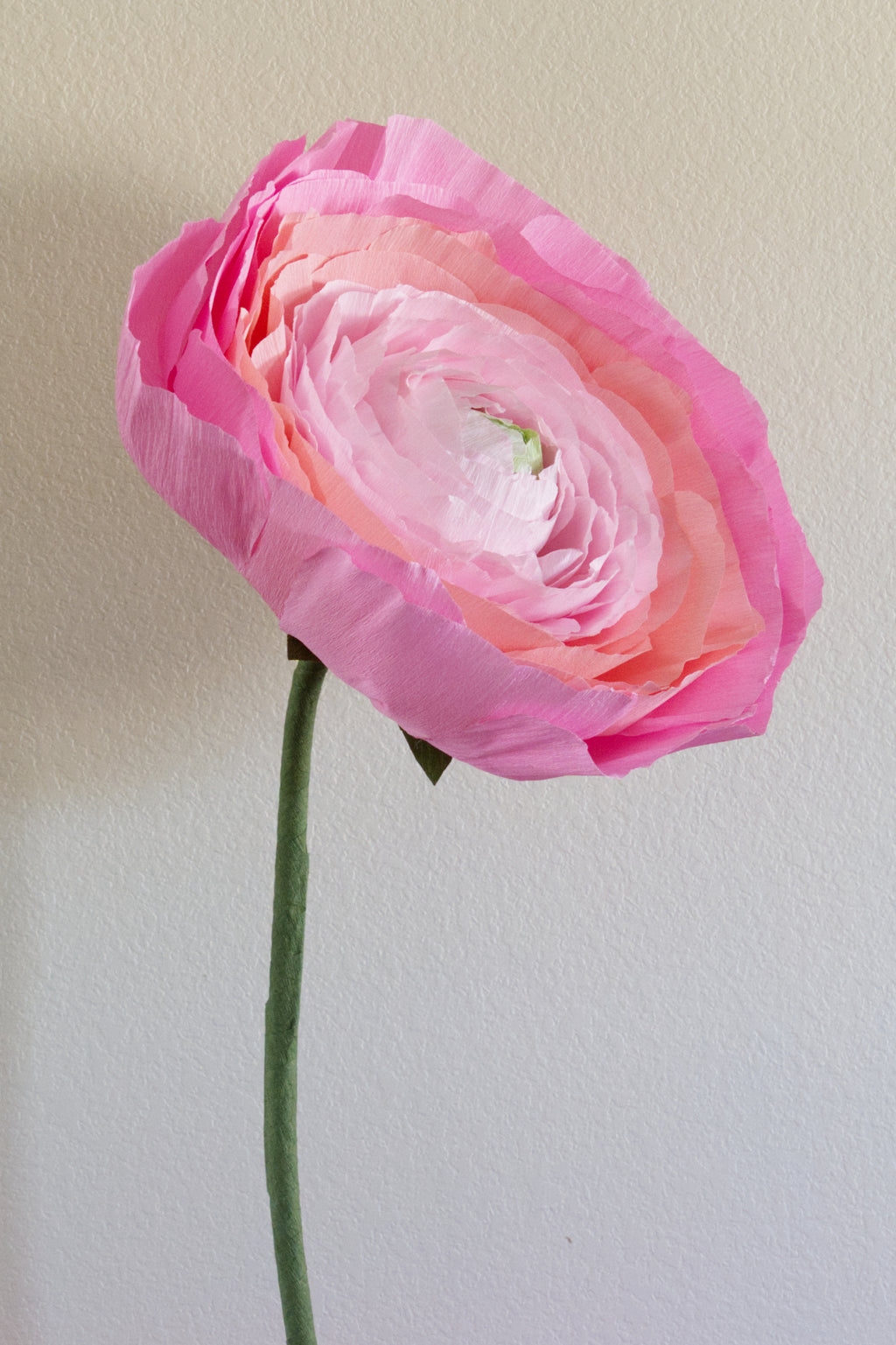 Ranunculus Custom to Own