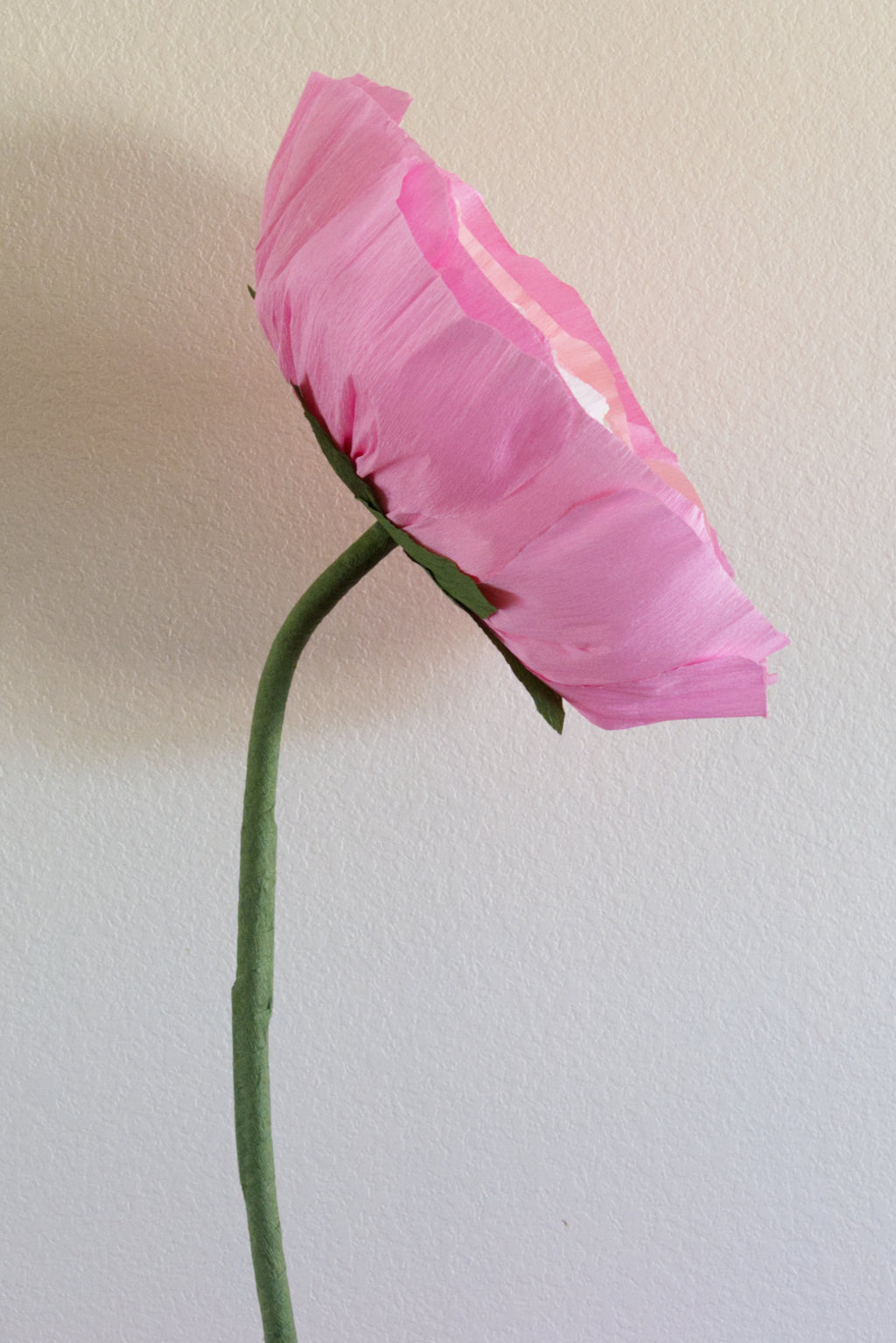Ranunculus Custom to Own