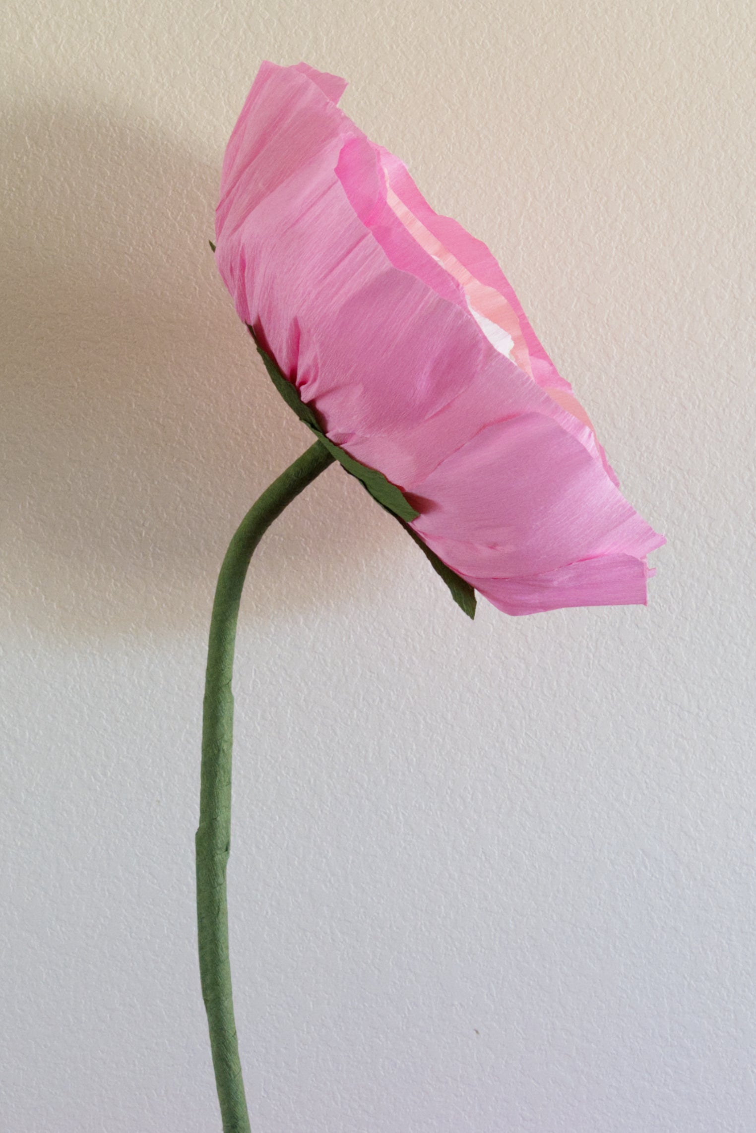 Ranunculus Custom to Own