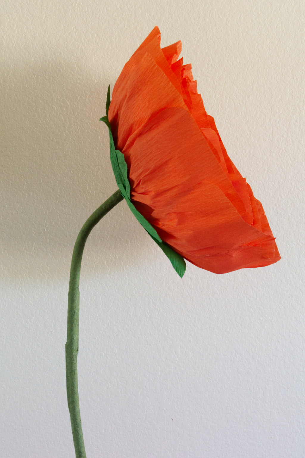 Ranunculus Custom to Own