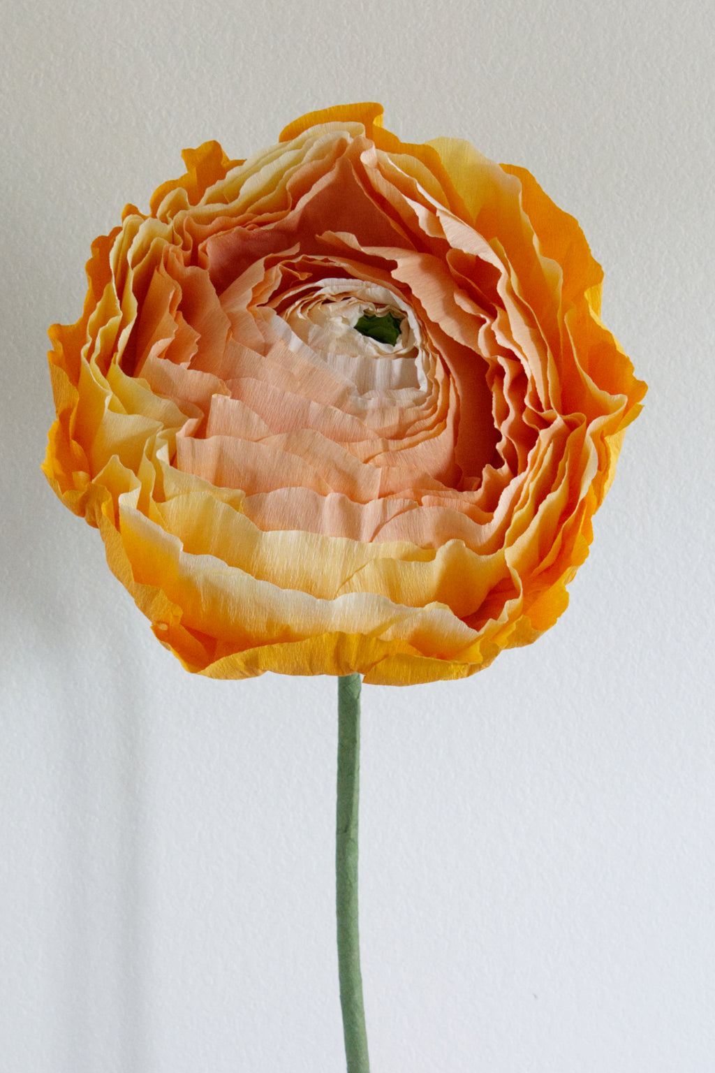 Ranunculus Custom to Own