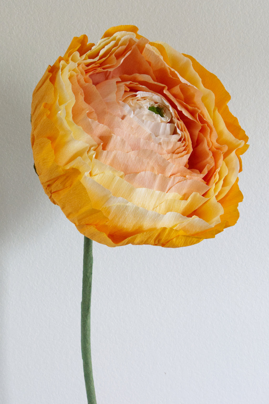 Ranunculus Custom to Own