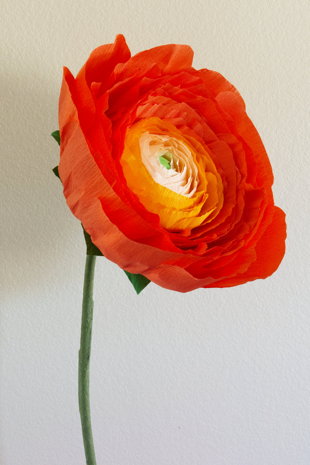 Ranunculus Custom to Own