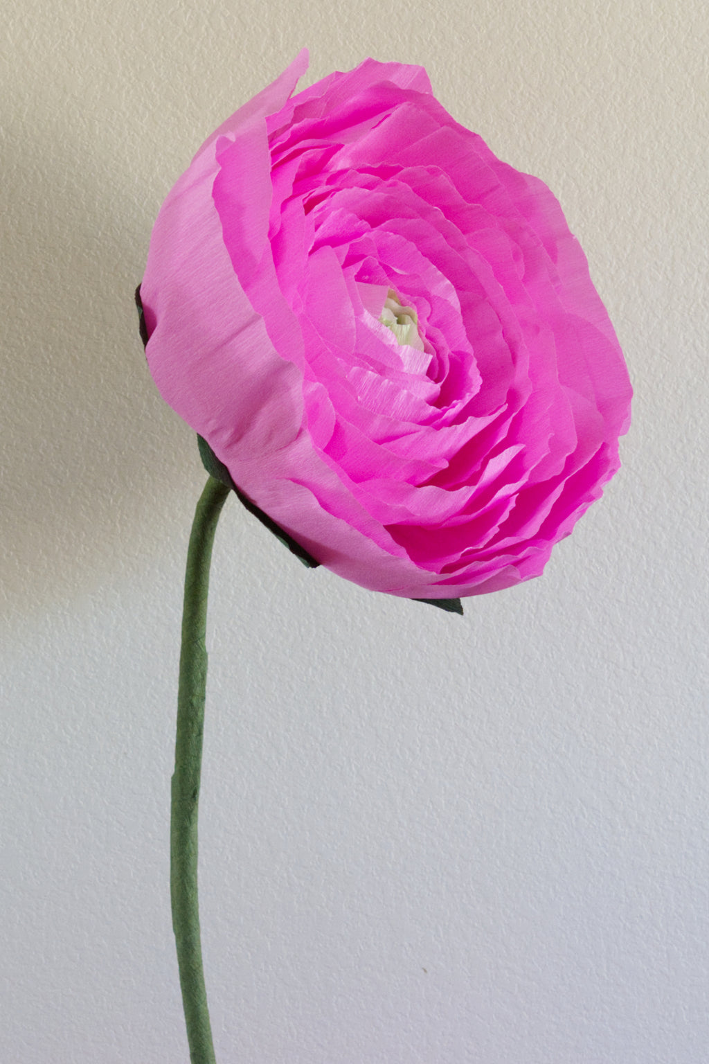 Ranunculus Custom to Own
