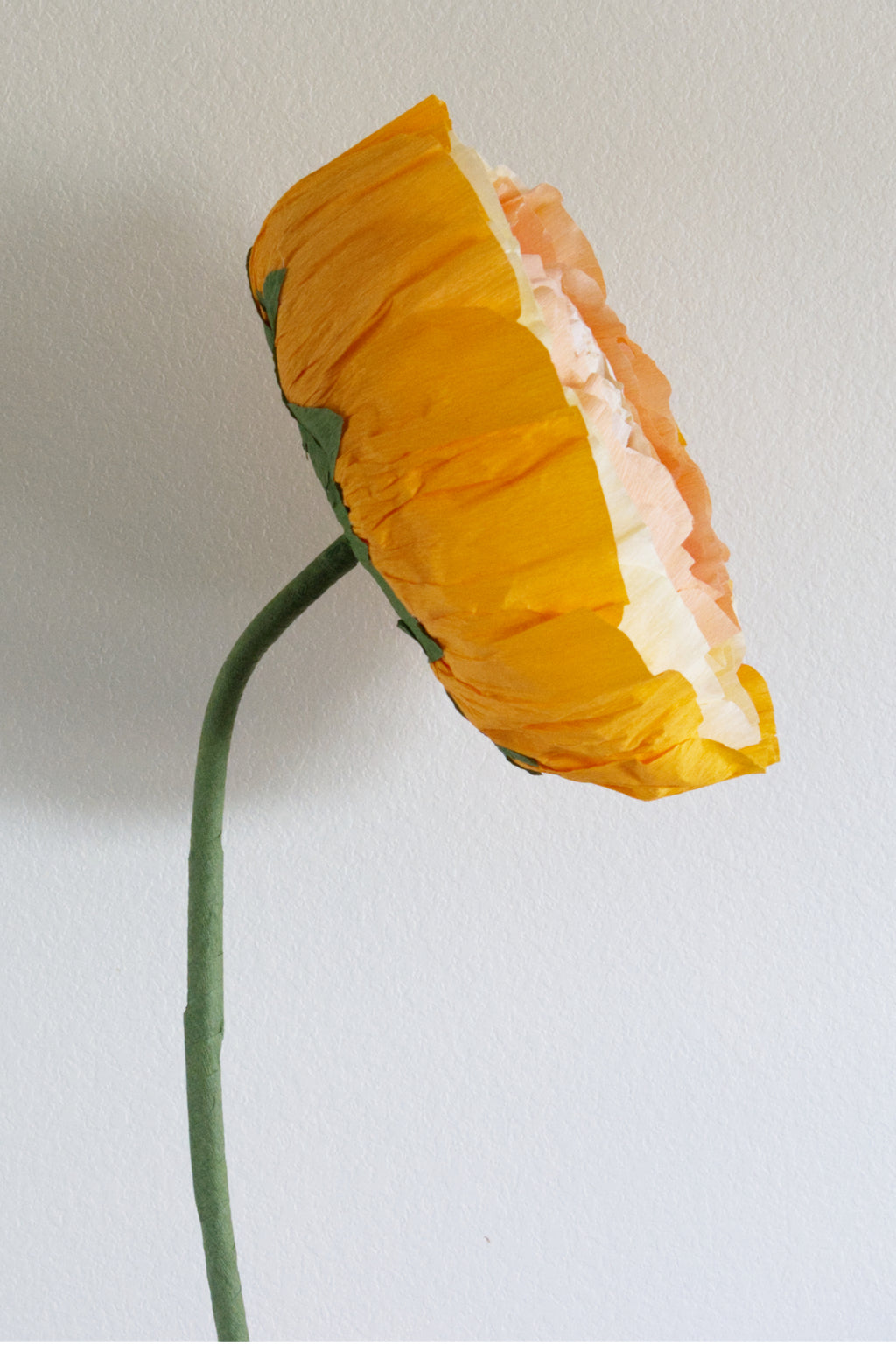Ranunculus Custom to Own