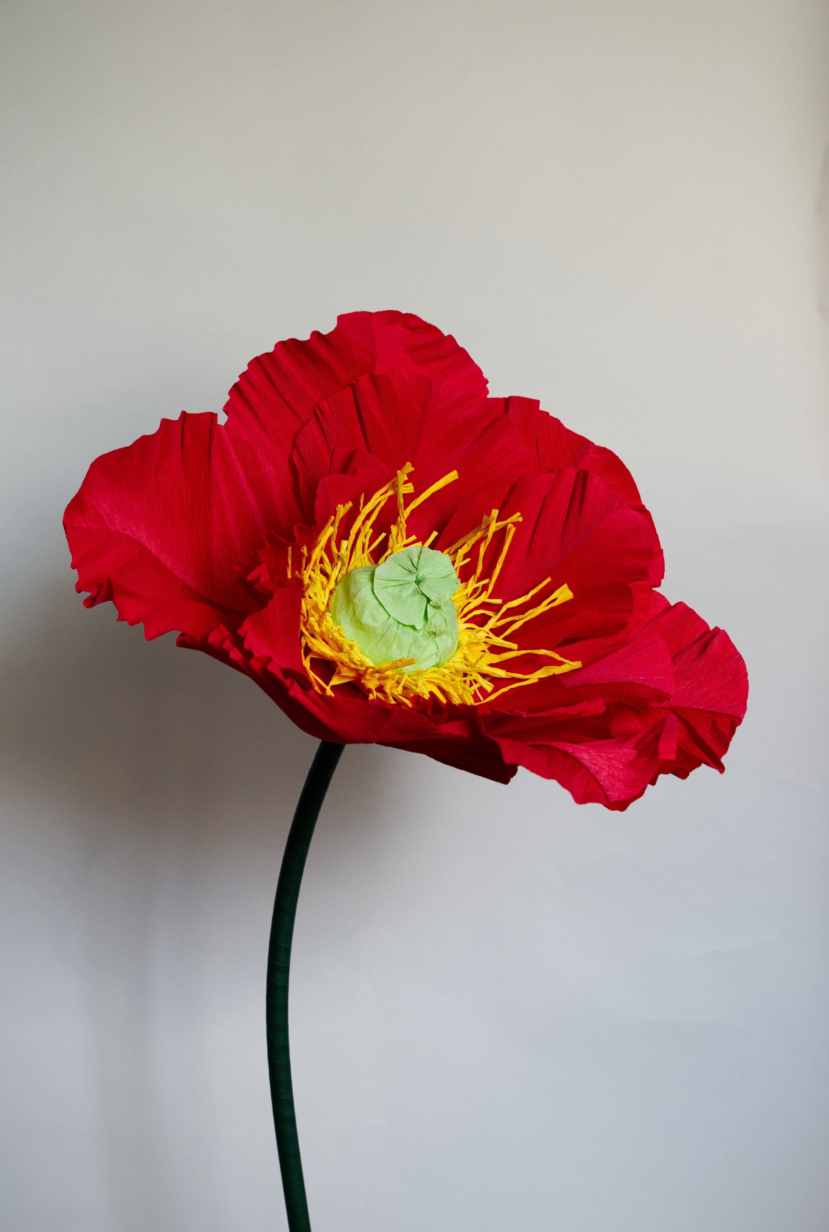 Red Poppy (Style One, Small) RENTAL