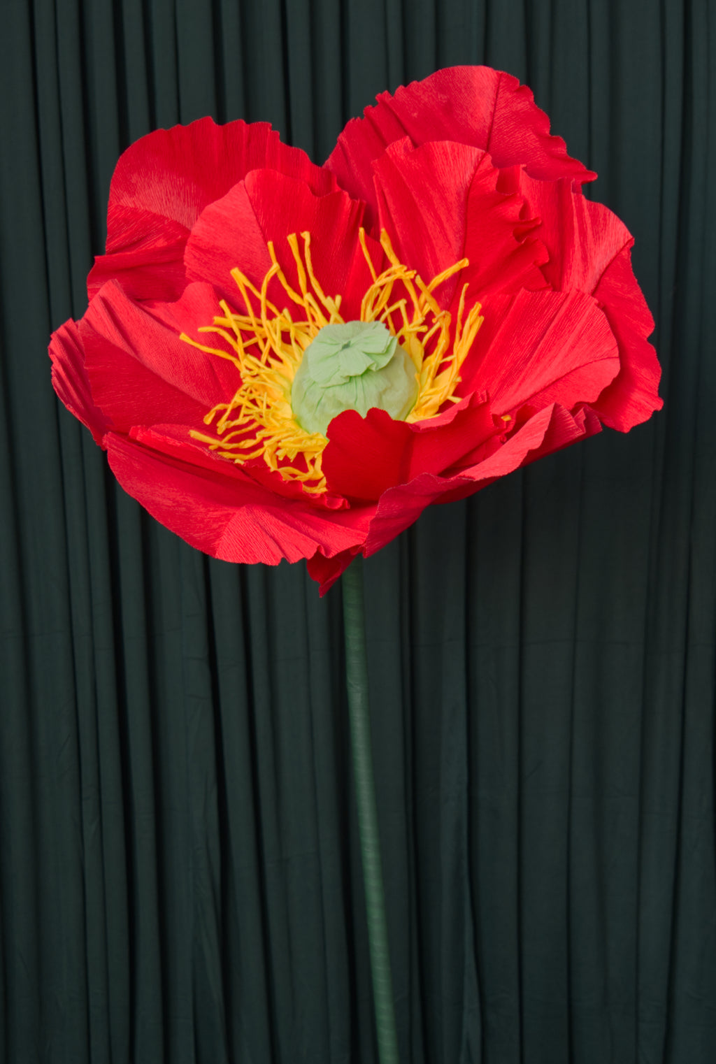 Red Poppy (Style One, Small) RENTAL