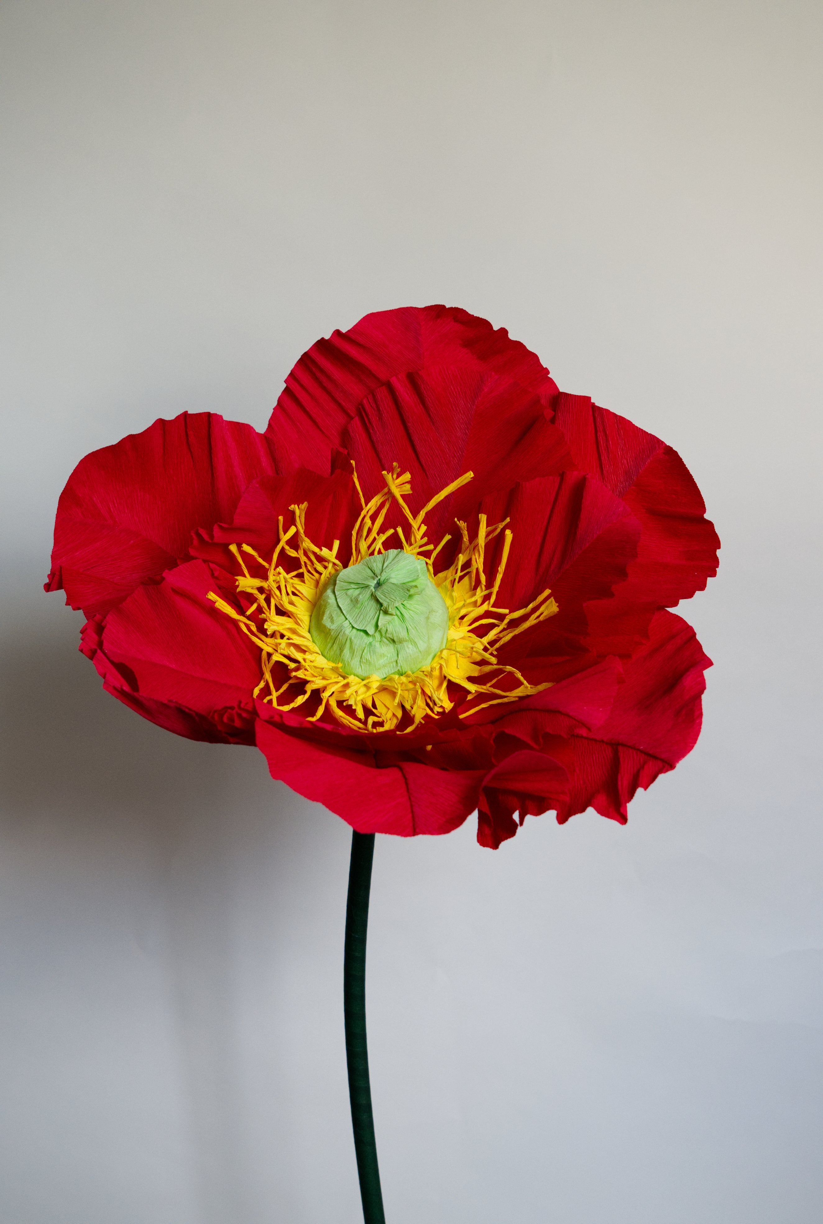 Red Poppy (Style One, Small) RENTAL