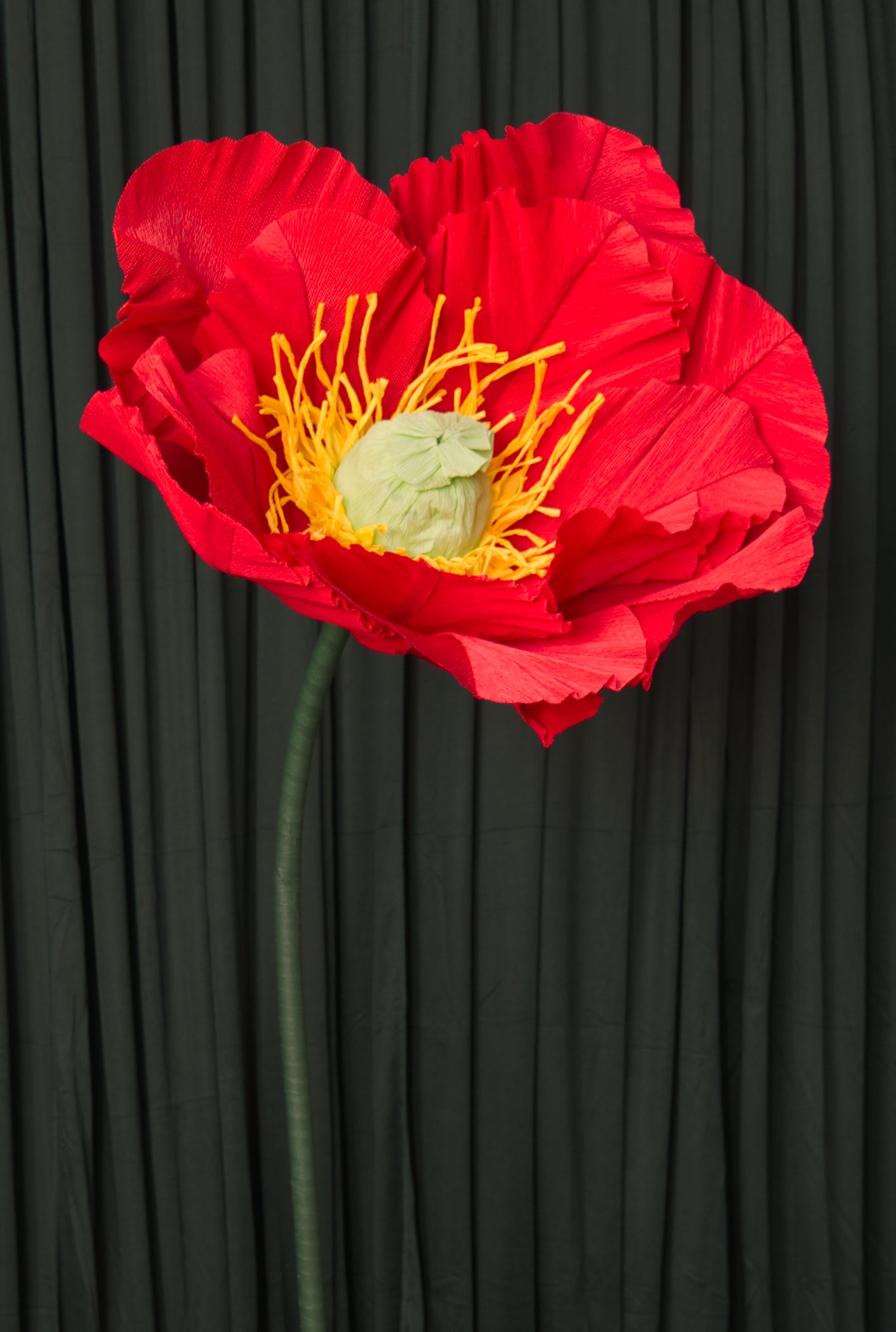 Red Poppy (Style One, Small) RENTAL