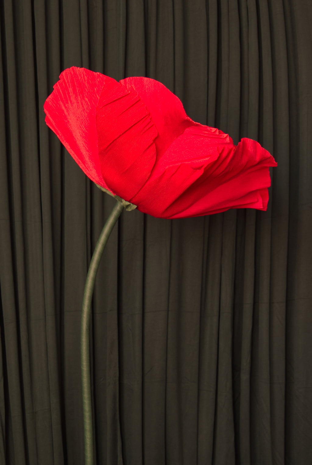 Red Poppy (Style One, Small) RENTAL
