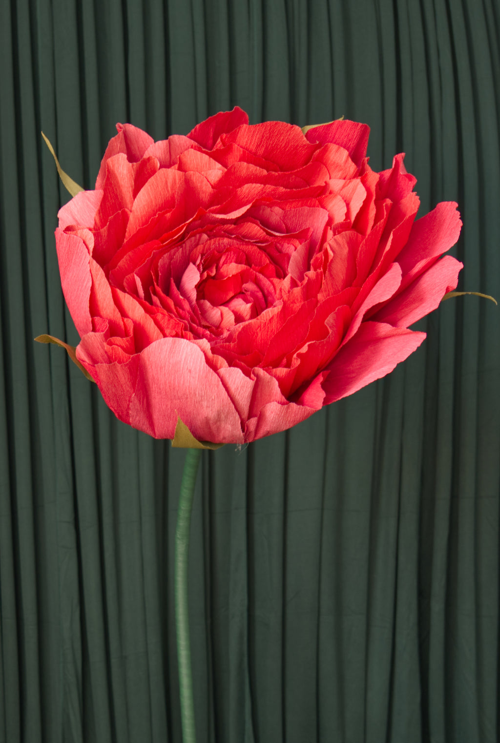 Giant Red Rose crepe paper flower