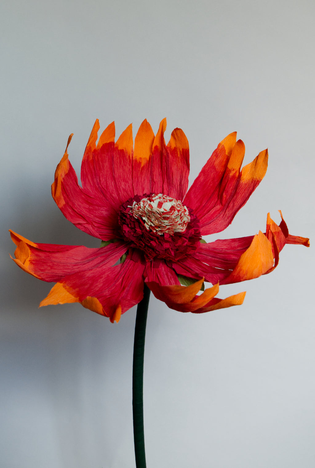 Firewheel (Small)