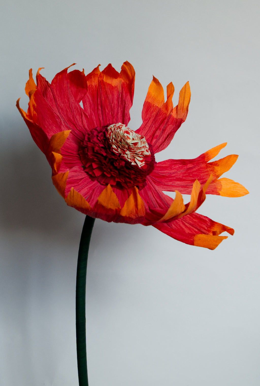 Firewheel (Small)