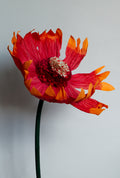 Firewheel (Small)