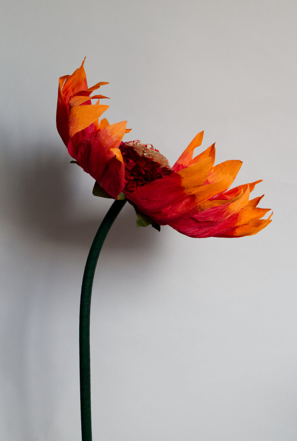 Firewheel (Small)