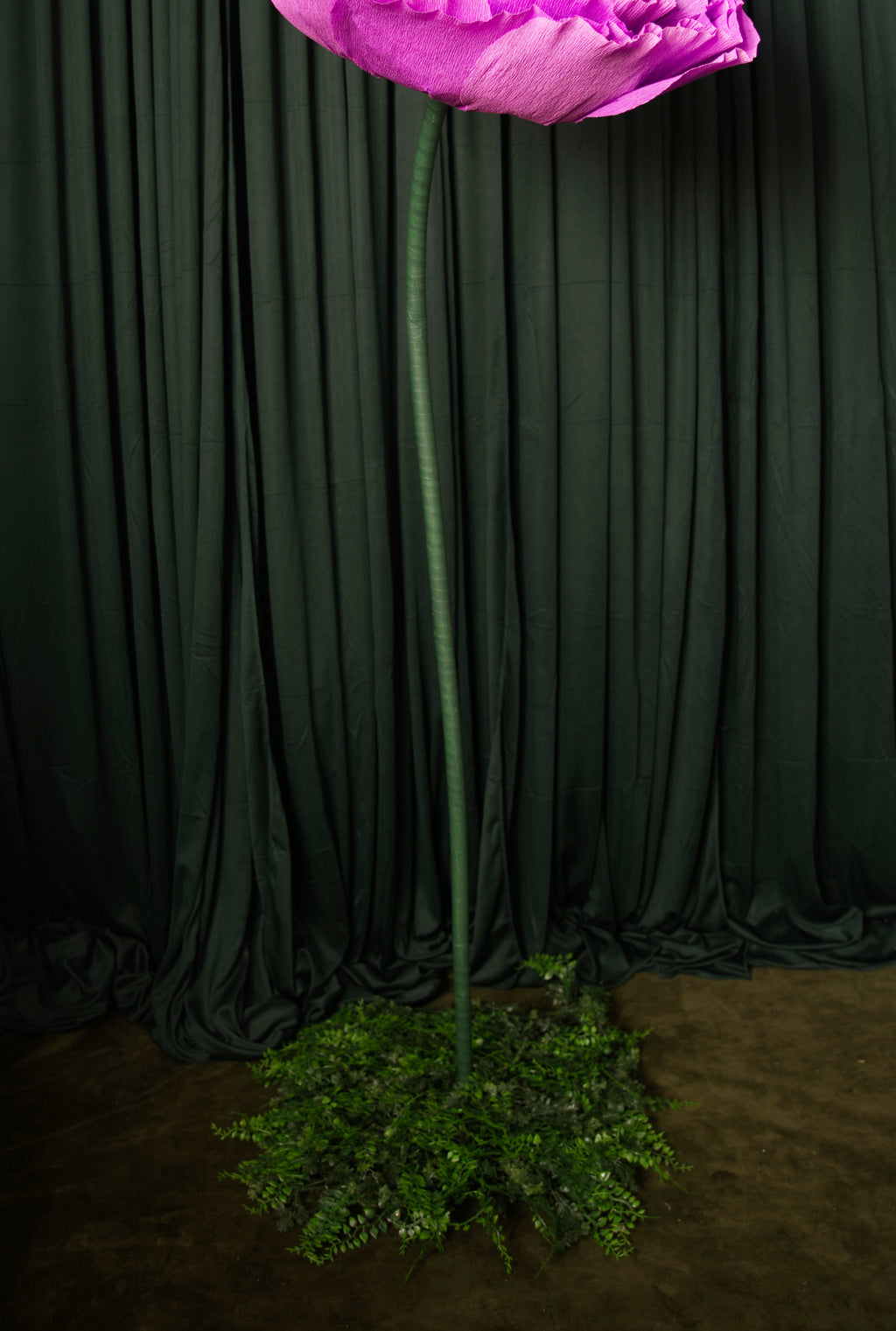 Stems