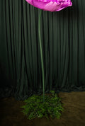 Stems
