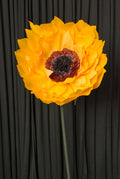 Sunflower RENTAL
