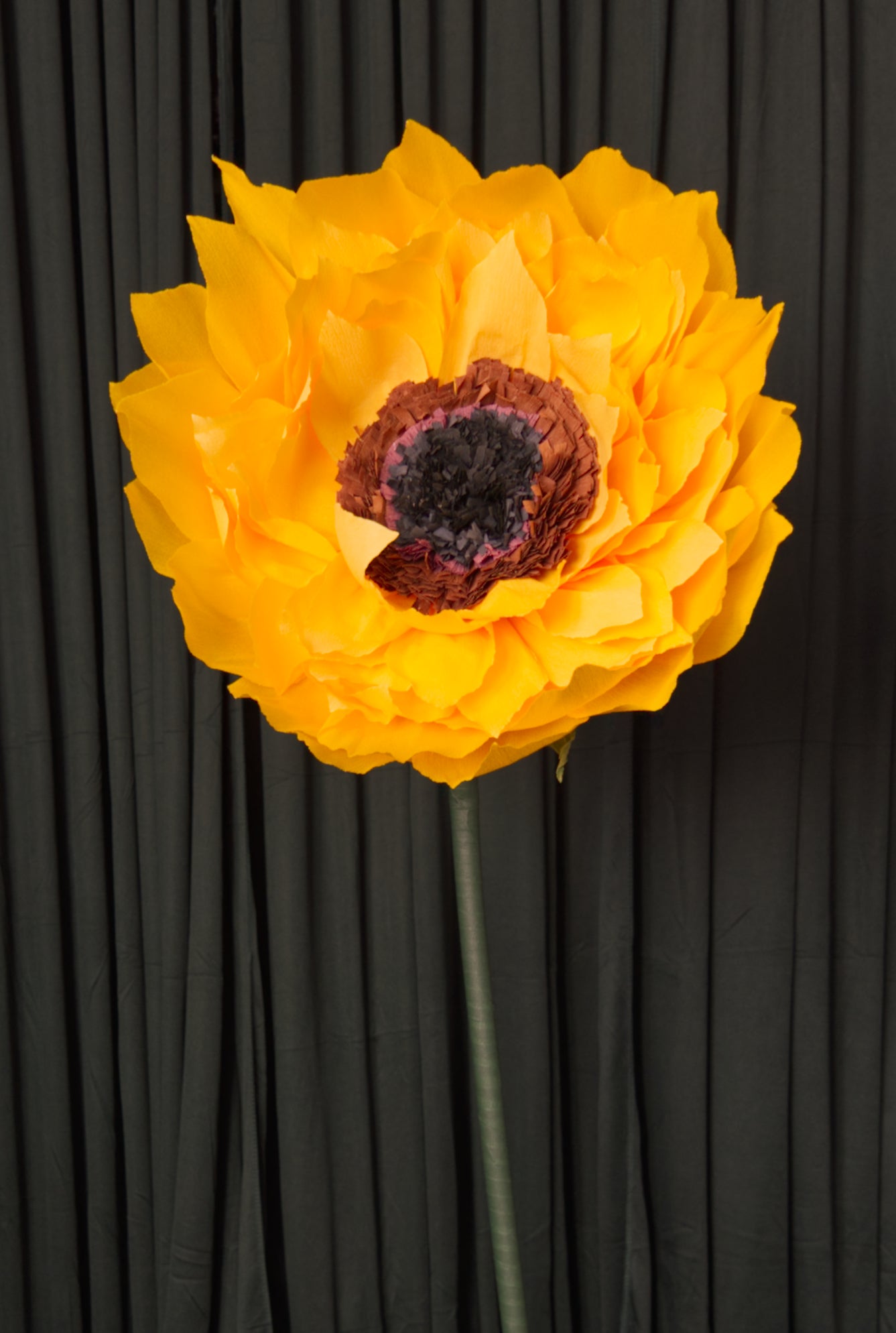 Sunflower RENTAL